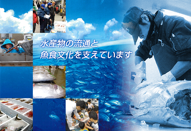 水産物の流通と魚食文化を支えています