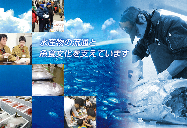水産物の流通と魚食文化を支えています